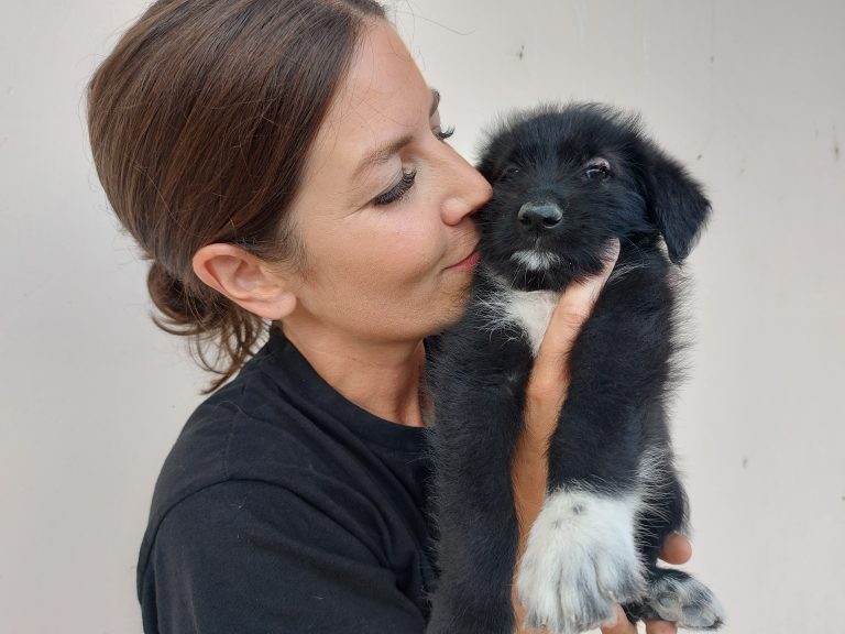 Teammitglied Linda Ruttkamp vom Verein New Home for Strays e.V.