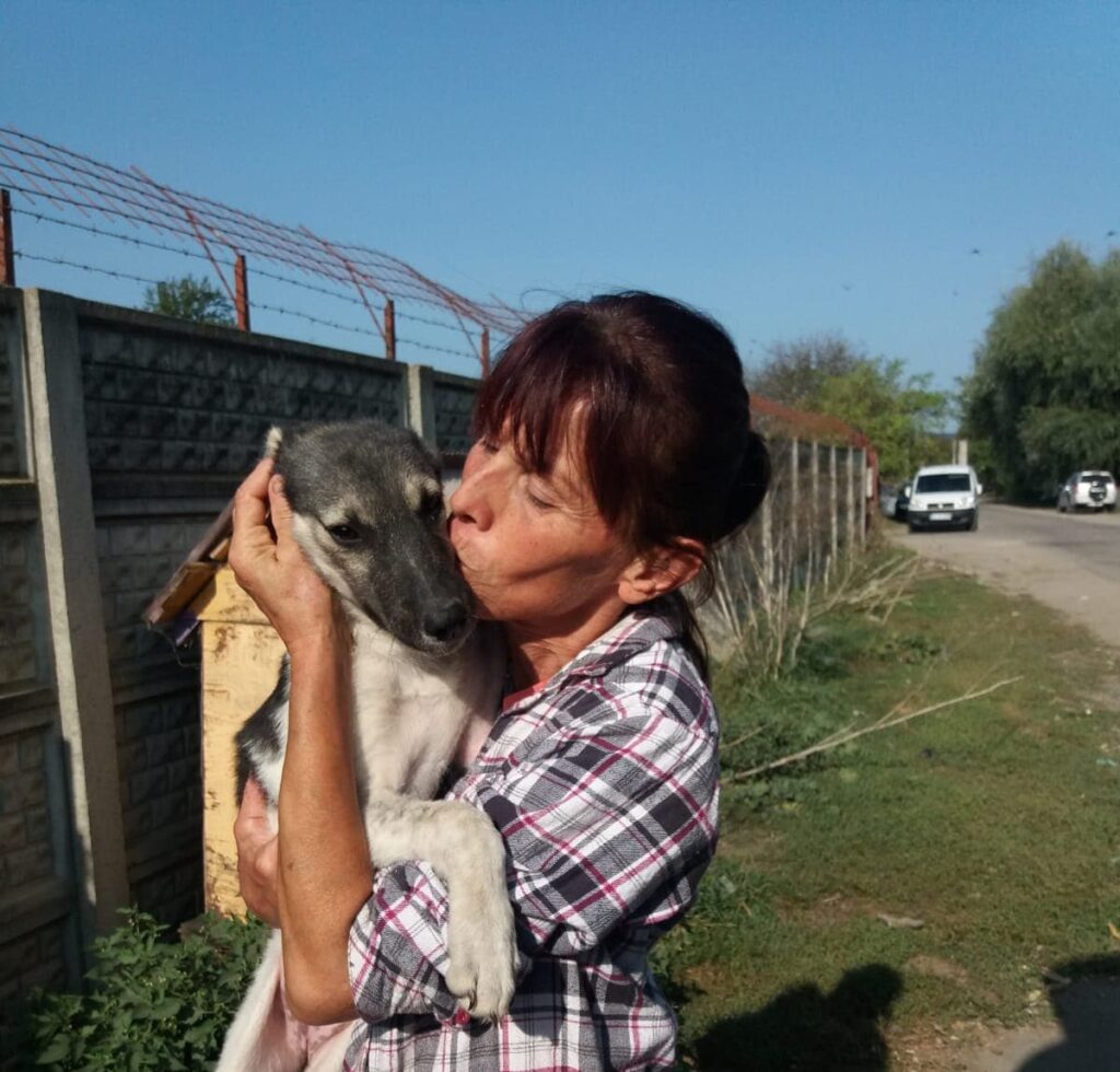 Norica Prigoana im MAGIC LAND Shelter mit einem Hund auf dem Arm.