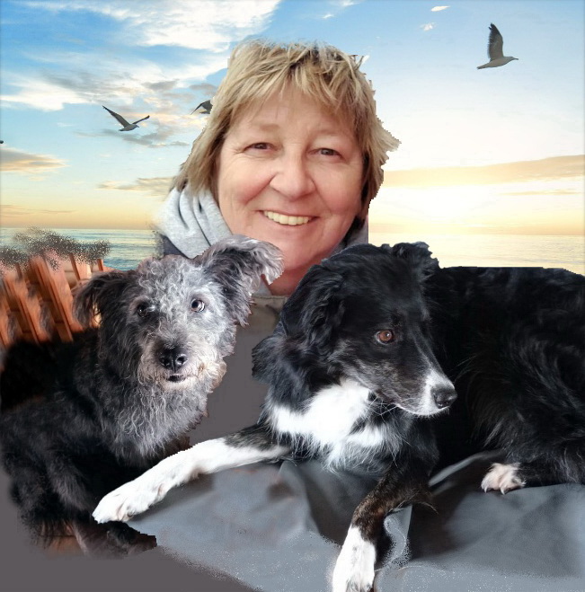 Teammitglied Petra Reinelt-Simonsen im Verein New Home for Strays e.V.