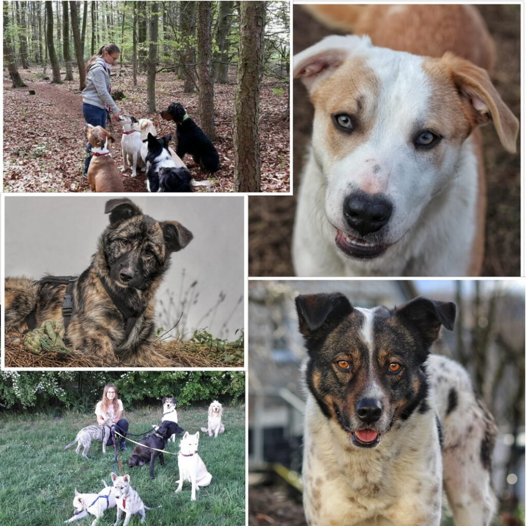 Pflegestelle Christina Gartmann