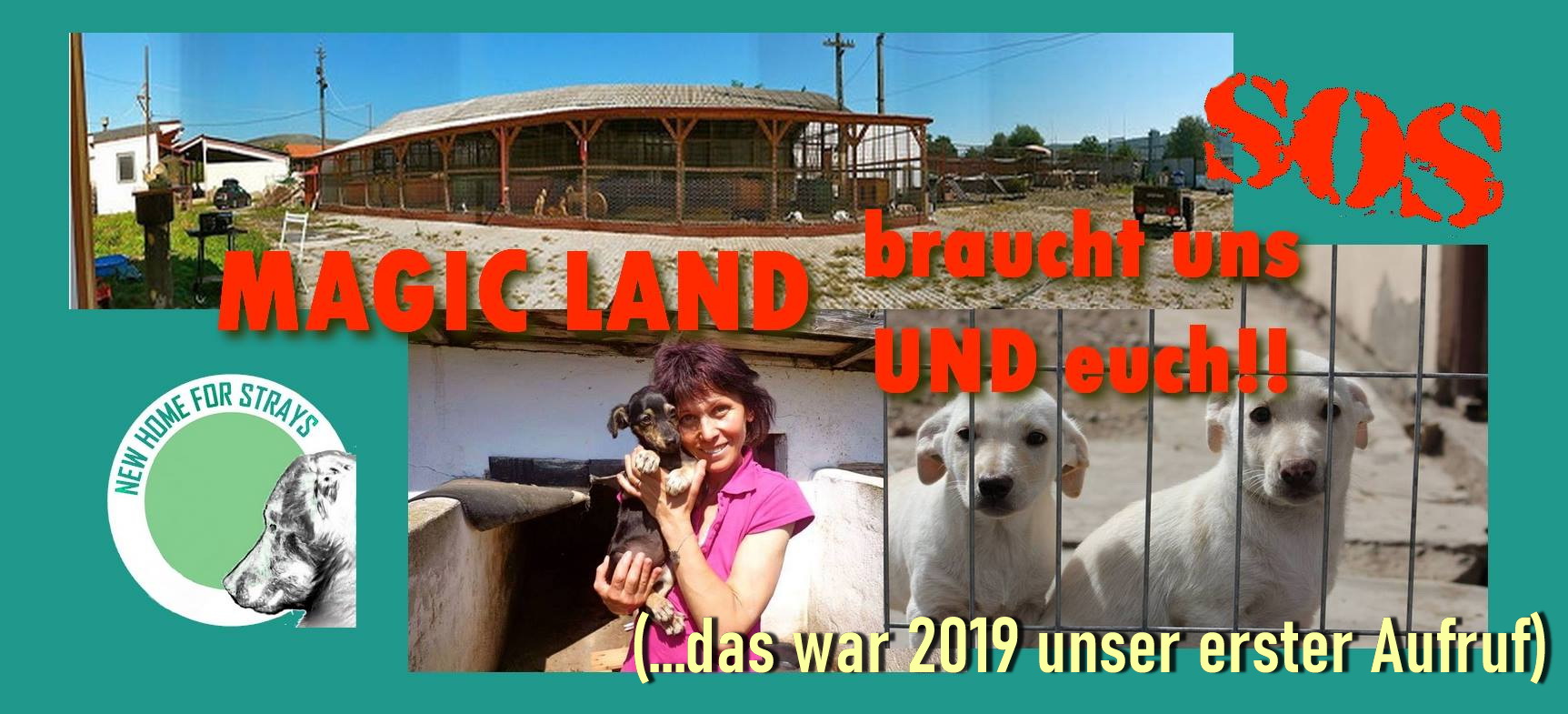 Renovierungsmaßnahmen im Magic Land