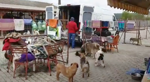 Ein Sachspendentransport erreicht das Magic Land.